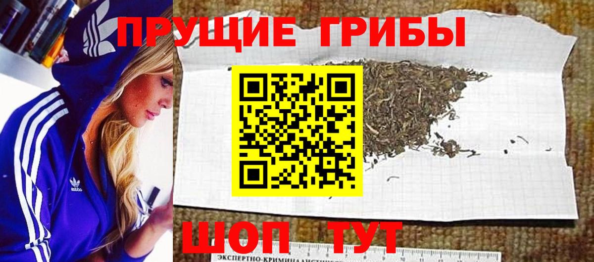 Галлюциногенные грибы Magic Shrooms Кизилюрт